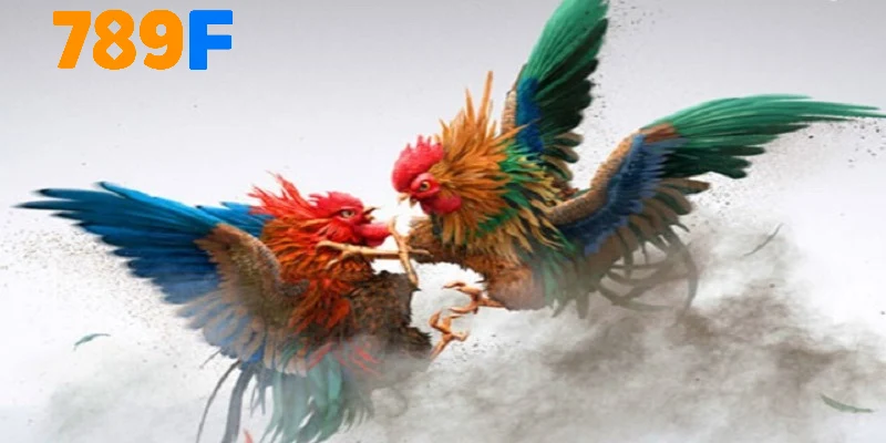 Vài nét về hình thức đá gà online